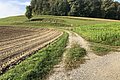 Ist Situation Altlastensanierung Kugelfang